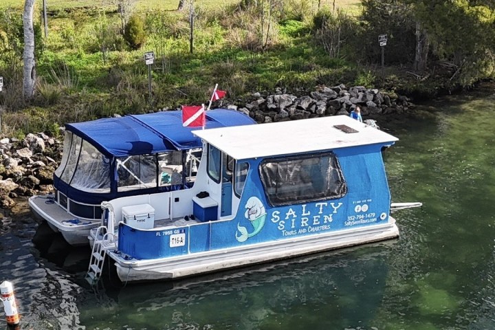 Two boats docked, including a blue one named 'Salty Siren' with a cabin and dive flags, near a rocky shoreline.